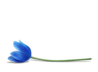 Blaue Blume